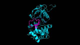 Noncompetitive allosteric inhibition of Tyrosine Kinase inhibition with Imatinib Gleevec [upl. by Gilson]