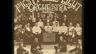 The Pigsty Hill Light Orchestra  Cushion Foot Stomp 1970 [upl. by Ramel659]