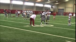 Alabama freshman Deionte Thompson practices at receiver April 10 2015 [upl. by Tyoh966]