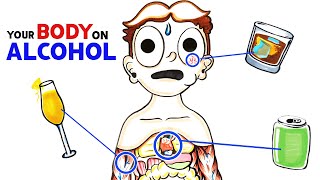 How Alcohol Changes Your Body [upl. by Cutcheon]