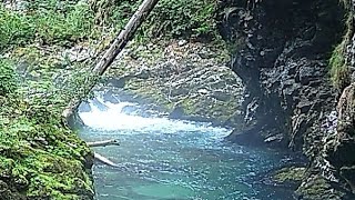 Vintgar Gorge in Slovenia 🇸🇮 Soteska Vintgar [upl. by Enelahs]