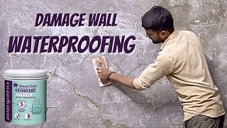 Wall Waterproofing treatment  How To Repair Damp Wall  Asian Paint Hydro loc [upl. by Ela]