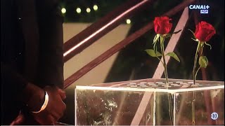 🌹la cérémonie de la remise des roses 🌹 épisode 8 complet  bachelor saison 3 Afrique [upl. by Romeu214]