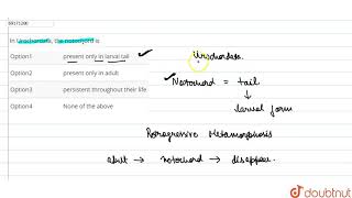 In Urochordata the notochord is [upl. by Ataeb]