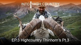 Highcountry Thinhorns Part 3 [upl. by Marjie]