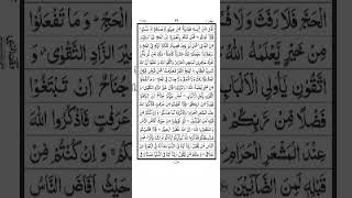 Surah Al Baqarah  Ayat 200 To 203  Quran Recitation [upl. by Nimsaj384]