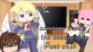 Passerine reacts to Dream Smp part 1 [upl. by Ashlie89]