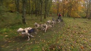 Ab durch den Matsch Schlittenhundrennen in Südengland [upl. by Eimareg]