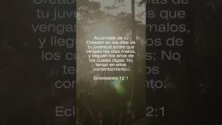 Acuérdate de tu creador en tu juventud  Familia Pentecostal shorts creador dios [upl. by Naired]