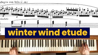 Chopin quotWinter Windquot Etude chopin classicalpiano classicalmusic [upl. by Aeila]