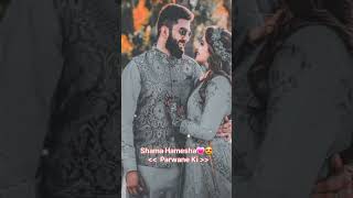 Shama hmesa parwane song 😍🥰lovestatus whatsappstatus shortvideo shortvideo youtubeshortsvideo [upl. by Immaj908]