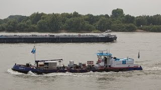 Scheepvaart op de Rijn  Shipspotting on the Rhine  Tolkamer  Europakade  vracht cargo  HD [upl. by Edgell518]