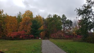 Fall colors senic views from Canada Bradford to New York 36 Hornell and Canisteo [upl. by Ecidnak]