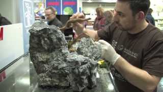 Aquascaping Contest quotThe Art of the Planted Aquariumquot 2014 The Event pt 1 of 3 [upl. by Aimal]