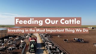 Feeding Our Cattle is the Most Important Thing We Do [upl. by Atinas]