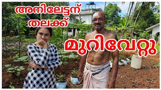 അനിലേട്ടന് അപകടം പറ്റിVillage CookingMathanga ErisseryVegetable HarvestKrishi Agriculture [upl. by Hook]