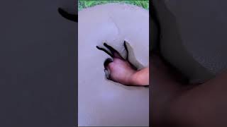 Purely satisfyingSo satisfyingoddlysatisfying satisfying satisfyingvideo smooth relaxing asmr [upl. by Rimas550]