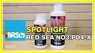 Using Red Sea NOPOX for a biological approach nutrient control  BRStv Spotlight [upl. by Nosahc]