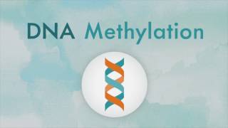 How DNA methylation works [upl. by Riabuz866]