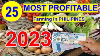 Top 25 Most Profitable Farming in 1 Hectare Farm  Philippines [upl. by Areval]