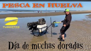 💛🖤SURFCASTING EN HUELVA MUCHAS DORADAS Y IMÁGENES IMPRESIONANTES 🐟 [upl. by Ekim]