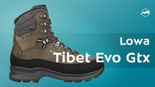 Ботинки Lowa Tibet Evo Gtx Обзор [upl. by Ecirtnom]