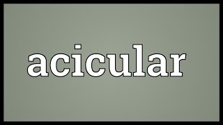 Acicular Meaning [upl. by Orvas289]