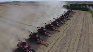 26 Combines  Canadian Foodgrains Bank Canola Harvest 2017  Killarney [upl. by Natika]