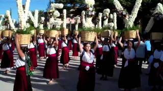 Festival in Tlacolula Oaxaca Mexico [upl. by Mailliw]