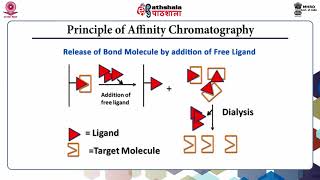 Affinity Chromatography Part A [upl. by Omiseno]