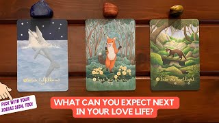 What Can You Expect Next in Your Love Life  Timeless Reading [upl. by Hcurab]