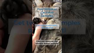 Free Whiskas Cat Food Samples [upl. by Zarah]