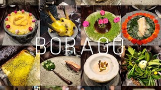 Boragó Santiagos Culinary Masterpiece  Best Restaurant in Chile 2023  29th best in the World [upl. by Artema]