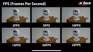 Frames Per Second Comparison [upl. by Enilekaj]