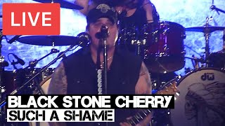 Black Stone Cherry  Such a Shame Live in HD  SSE Wembley Arena  London 2014 [upl. by Adnalu]