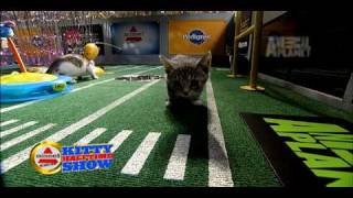 Puppy Bowl VI Kitty Halftime Show [upl. by Emmaline754]