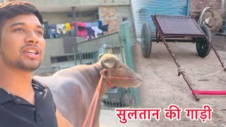 Sultan ki gaadi liye gaadi le rahe hai bullvlog reaction vlog viralvideo [upl. by Laeria163]