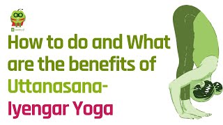 How to do Uttanasana Iyengar  What are the benefits of Uttanasana Iyengar Yoga [upl. by Fair444]