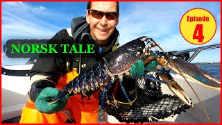 Hummerfiske 2023 på norsk Tips og triks til hummerfisket Hummeren er alt for stor Fishing lobster [upl. by Lennard]