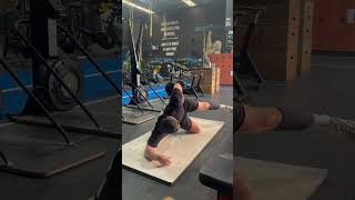 Bent Knee Side Plank  Hip Flexion [upl. by Llewop]