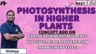 Photosynthesis in Higher Plants Class 11 NEET  Early Experiments Chloroplast Structure  Biology [upl. by Marja]