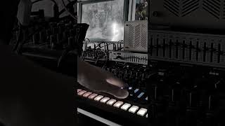 TR8s  DUB Techno electronicmusic daybreak synth hardwarelive tr8s [upl. by Eile]