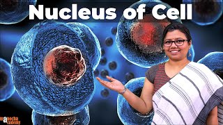 Nucleus Structure and Function  Cell [upl. by Ynar]