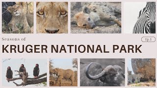 All the parts of the Kruger national park that makes it whole [upl. by Nnyl]