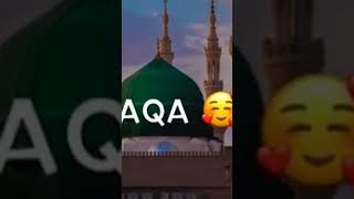 Subscribe for hazrat Muhammad Sallallahu Alaihi WasaWasallam love habbakhatoon abic [upl. by Cung640]