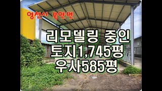 영천착한부동산NO883영천우사 200두 사육리모델링 중인 영천우사토지1745평우사585평 [upl. by Arrotal]