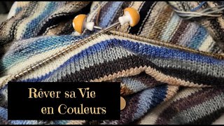 ❤️🧶 VlogTricot 44  Euuuh Donc Voila ma semaine laineuse podcasttricot tricot [upl. by Nennahs]