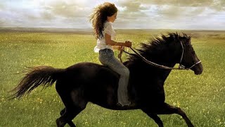 Flicka Full Movie Facts And Review  Alison Lohman  Tim McGraw [upl. by Roon913]