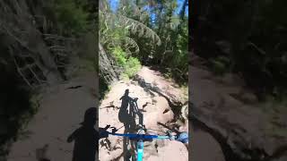 ZOOMING crankbrothers mtb downhill sponsored mountainbike magura odigrips [upl. by Saideman760]