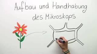 MIKROSKOP  AUFBAU UND HANDHABUNG  Biologie  Biologie der Zellen [upl. by Aner]